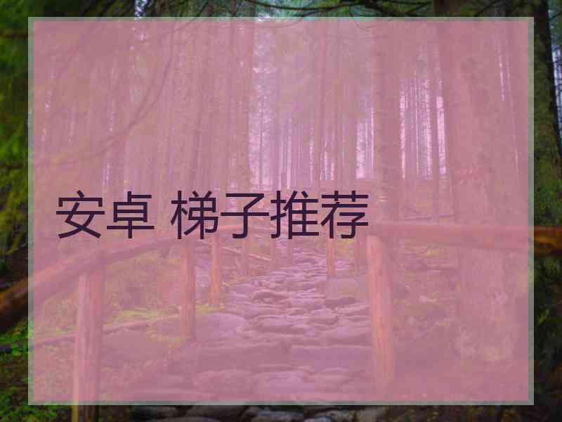 安卓 梯子推荐