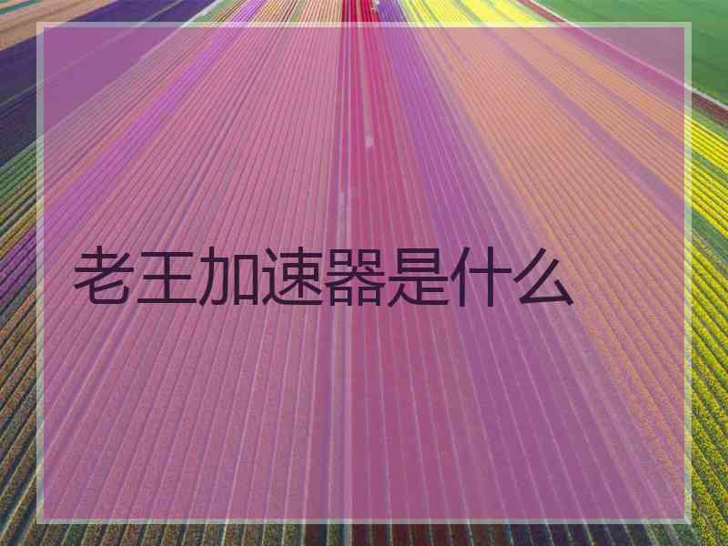 老王加速器是什么