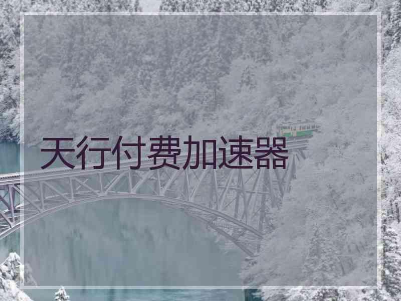 天行付费加速器