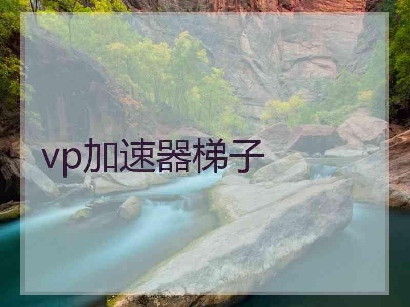 vp加速器梯子