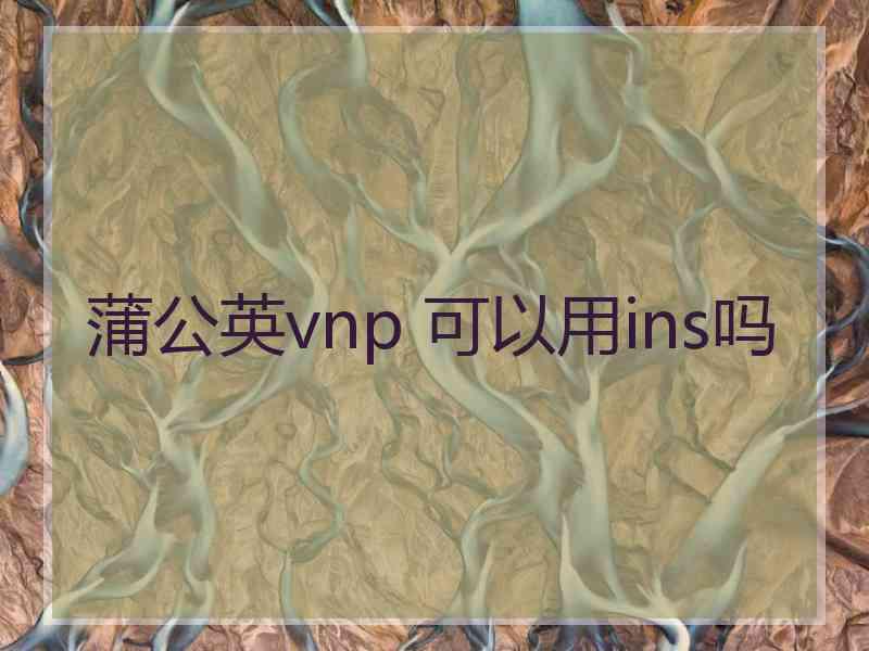 蒲公英vnp 可以用ins吗