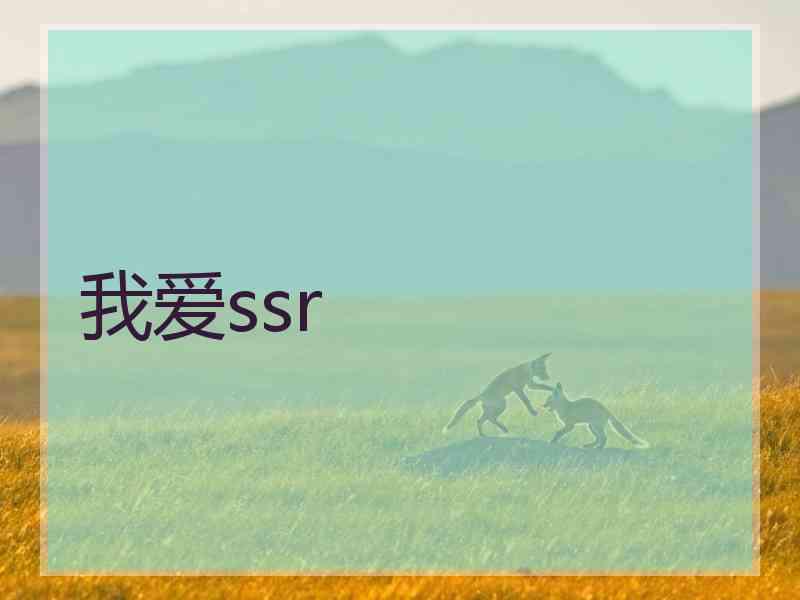 我爱ssr