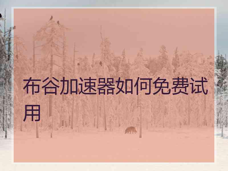 布谷加速器如何免费试用