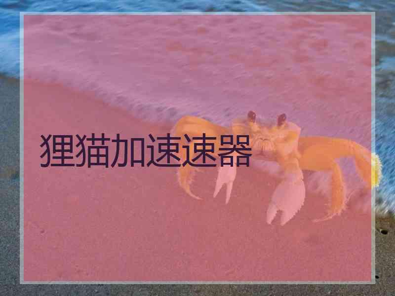 狸猫加速速器