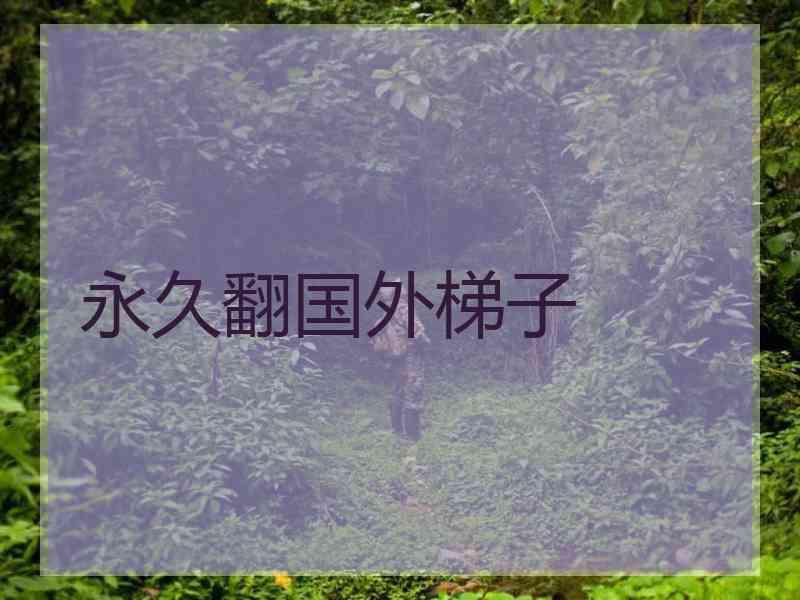 永久翻国外梯子