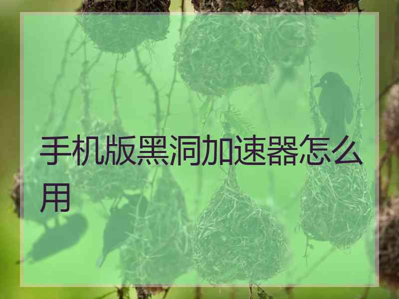 手机版黑洞加速器怎么用