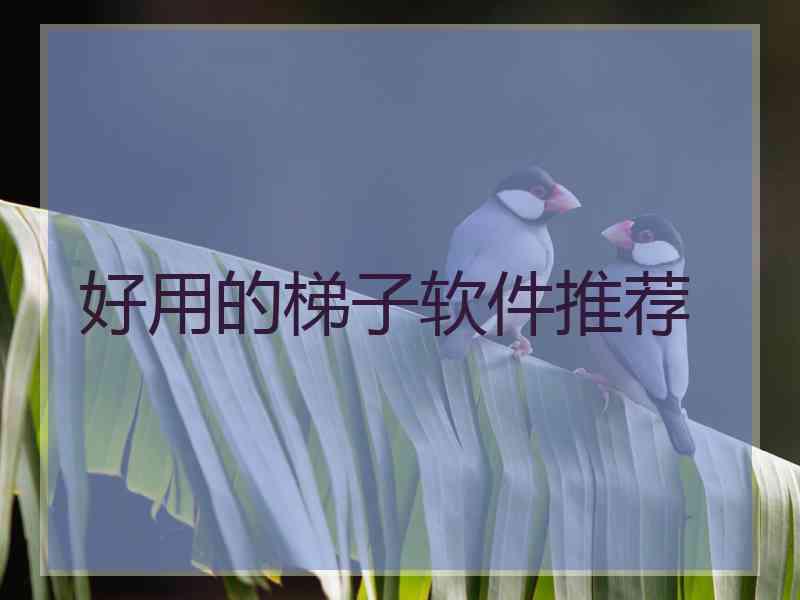 好用的梯子软件推荐