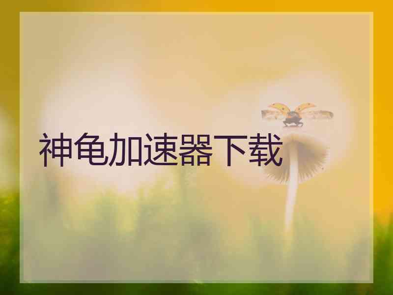 神龟加速器下载