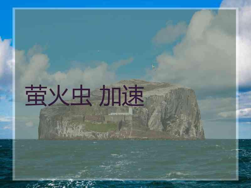萤火虫 加速
