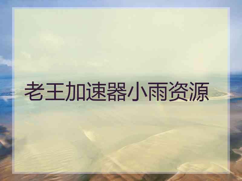 老王加速器小雨资源