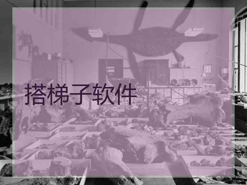 搭梯子软件