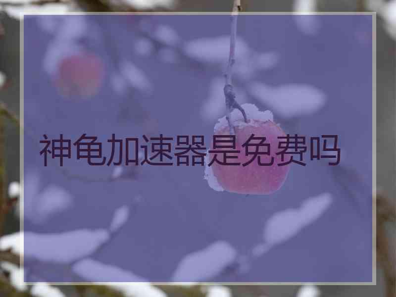 神龟加速器是免费吗