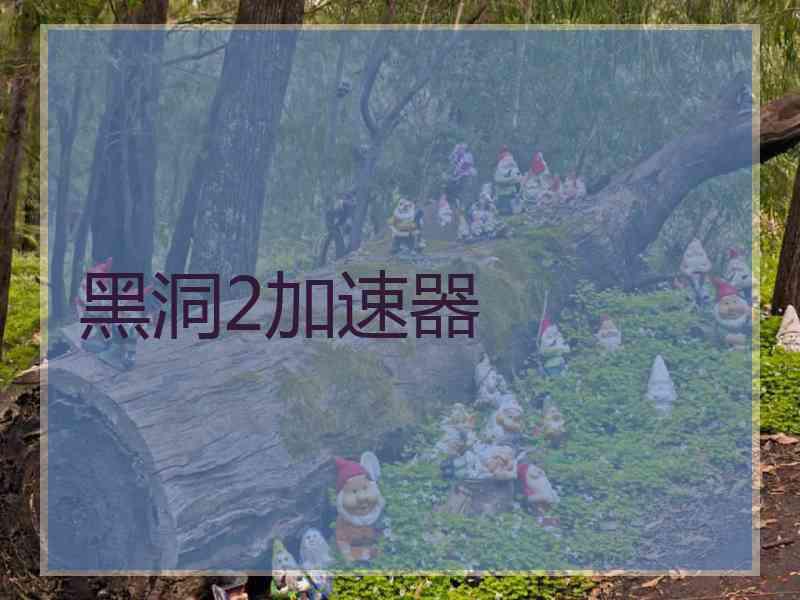 黑洞2加速器