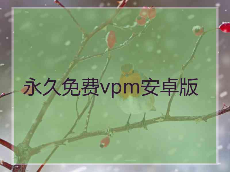 永久免费vpm安卓版