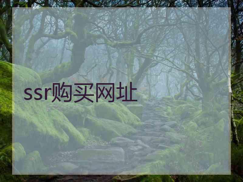 ssr购买网址