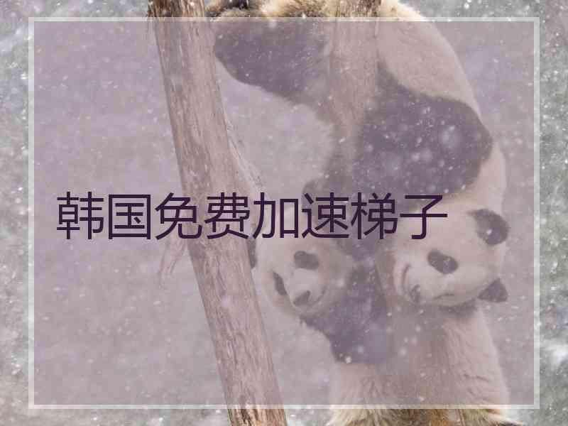 韩国免费加速梯子