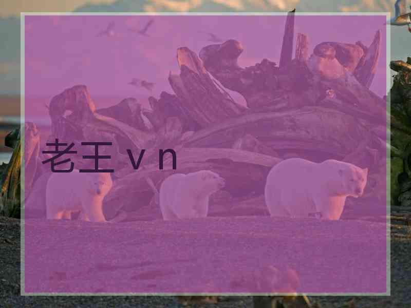 老王 v n