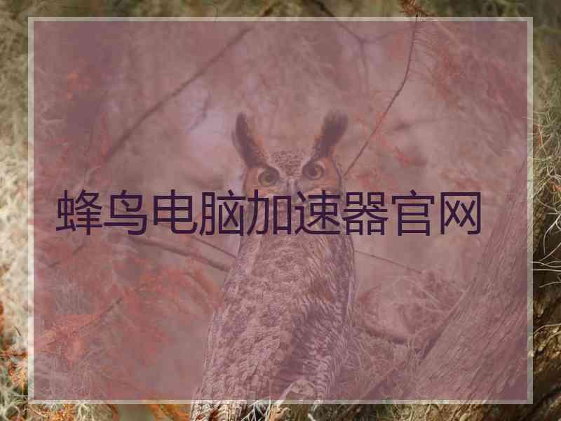 蜂鸟电脑加速器官网