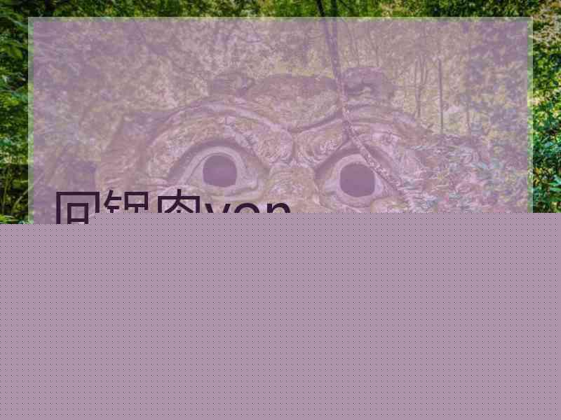 回锅肉von