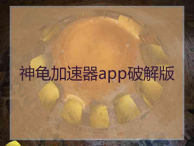 神龟加速器app破解版