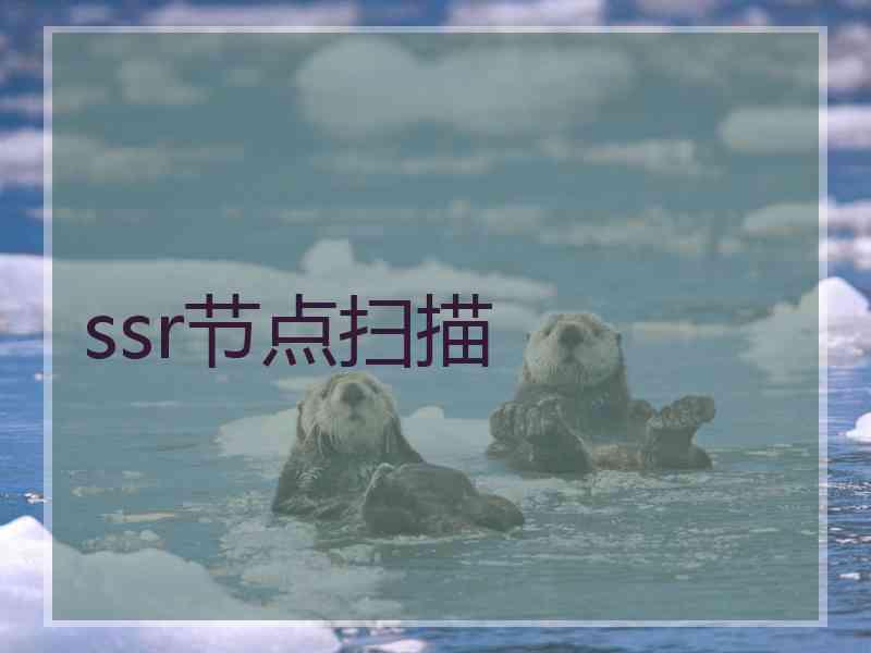 ssr节点扫描