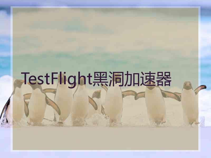 TestFlight黑洞加速器