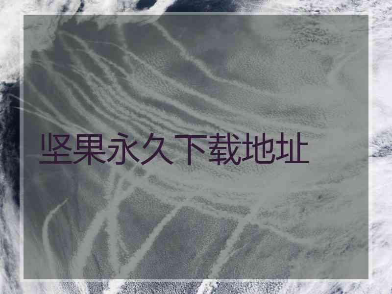 坚果永久下载地址