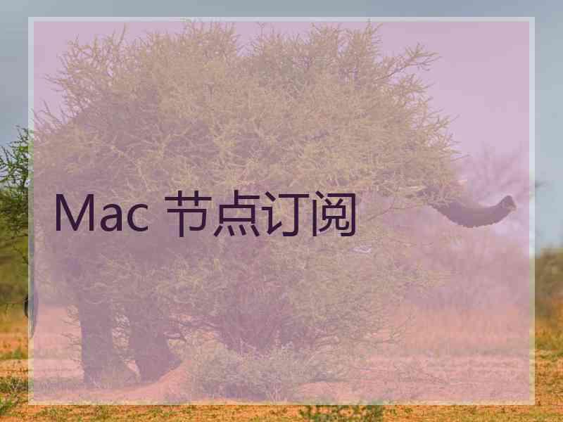Mac 节点订阅