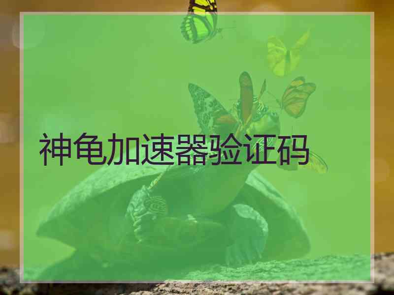 神龟加速器验证码