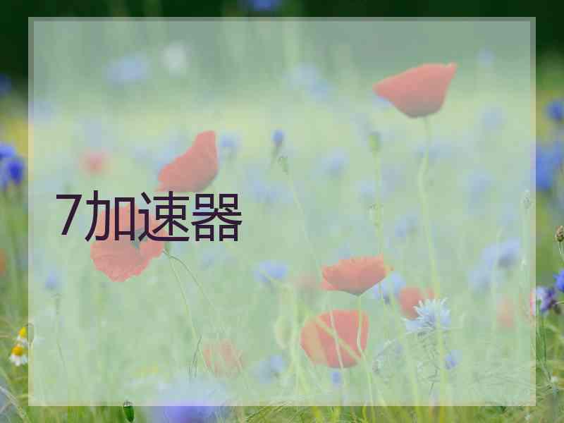 7加速器