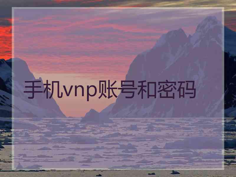 手机vnp账号和密码