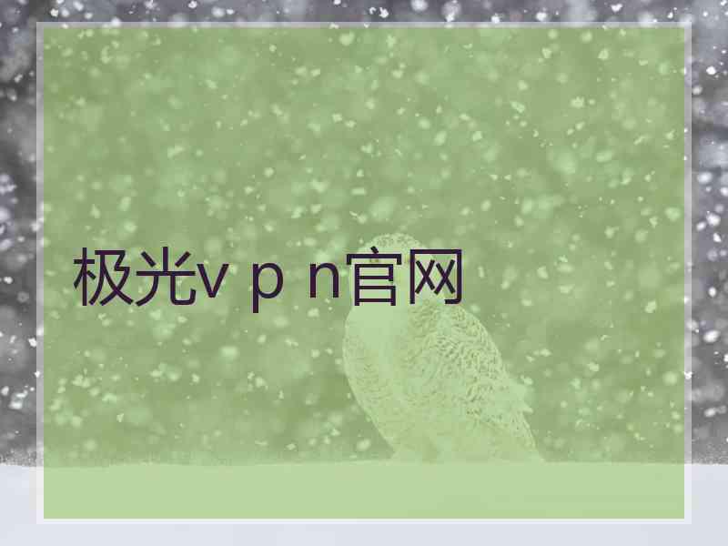 极光v p n官网