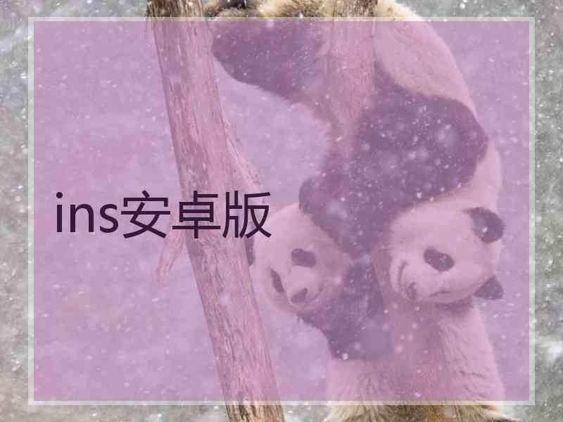 ins安卓版