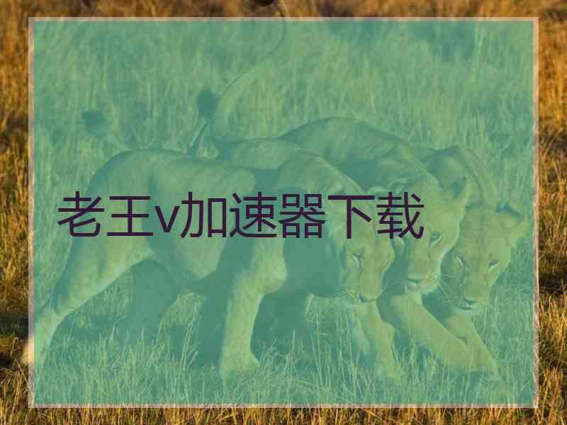 老王v加速器下载