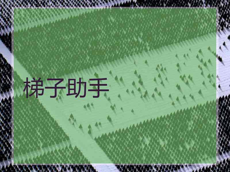 梯子助手