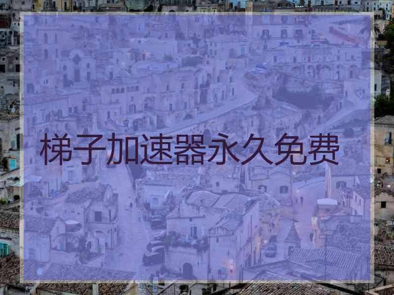 梯子加速器永久免费