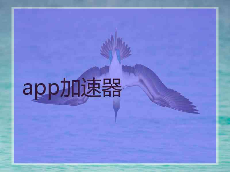 app加速器